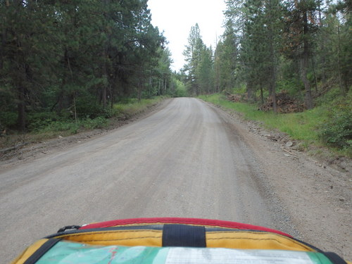 GDMBR: Southbound on Grizzly Gulch Road, Montana.